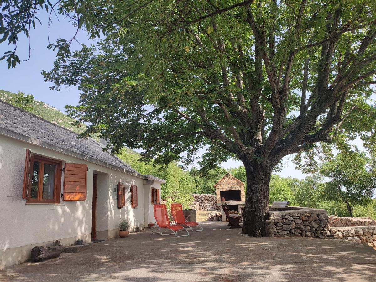 Holiday Home Lucija "" Private House With Pool "" Jablanac Exterior foto